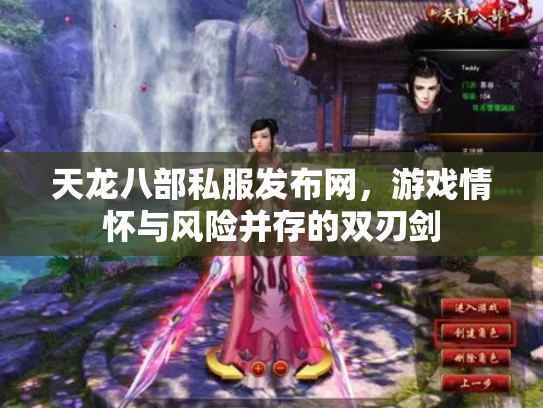 天龙八部私服发布网，游戏情怀与风险并存的双刃剑