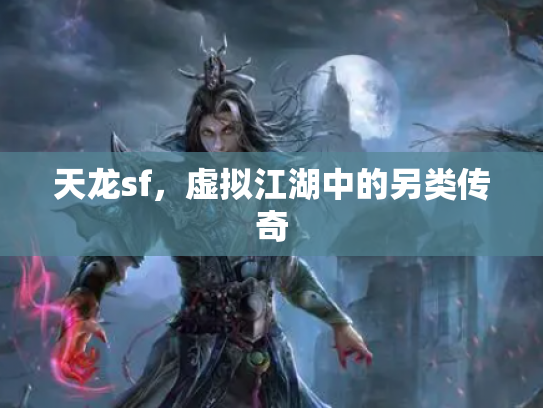 天龙sf，虚拟江湖中的另类传奇