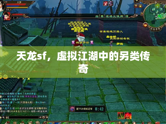 天龙sf，虚拟江湖中的另类传奇