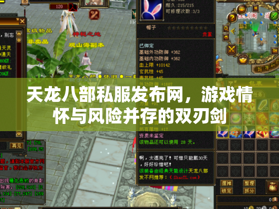 天龙八部私服发布网，游戏情怀与风险并存的双刃剑