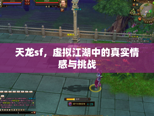 天龙sf，虚拟江湖中的真实情感与挑战