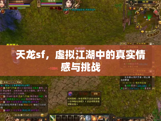 天龙sf，虚拟江湖中的真实情感与挑战