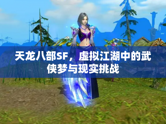 天龙八部SF，虚拟江湖中的武侠梦与现实挑战