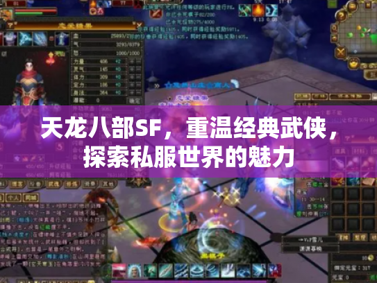 天龙八部SF，重温经典武侠，探索私服世界的魅力