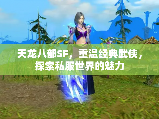 天龙八部SF，重温经典武侠，探索私服世界的魅力