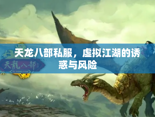 天龙八部私服，虚拟江湖的诱惑与风险