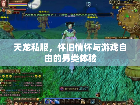 天龙私服，怀旧情怀与游戏自由的另类体验