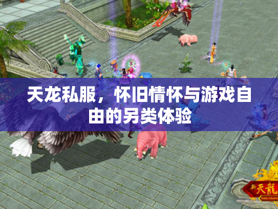 天龙私服，怀旧情怀与游戏自由的另类体验