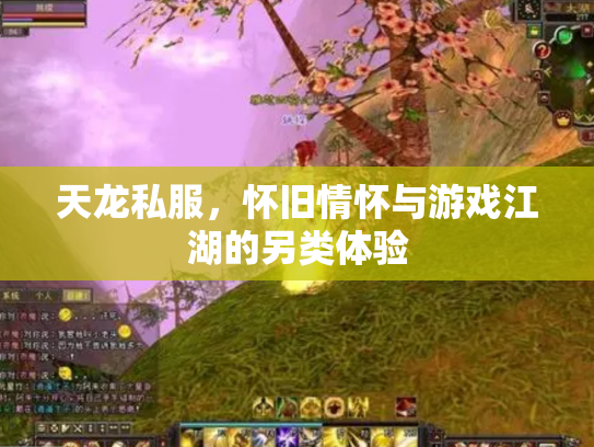 天龙私服，怀旧情怀与游戏江湖的另类体验