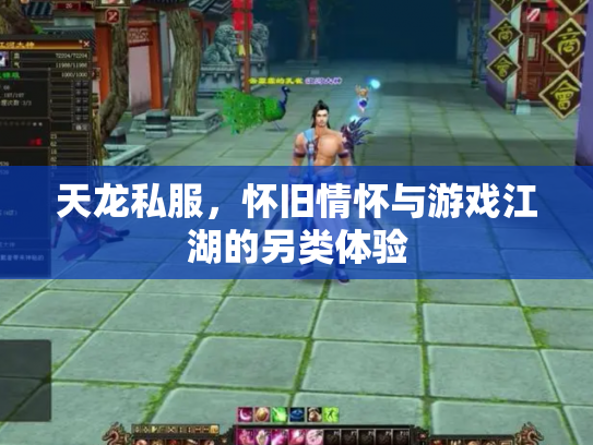天龙私服，怀旧情怀与游戏江湖的另类体验