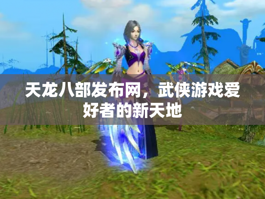 天龙八部发布网，武侠游戏爱好者的新天地
