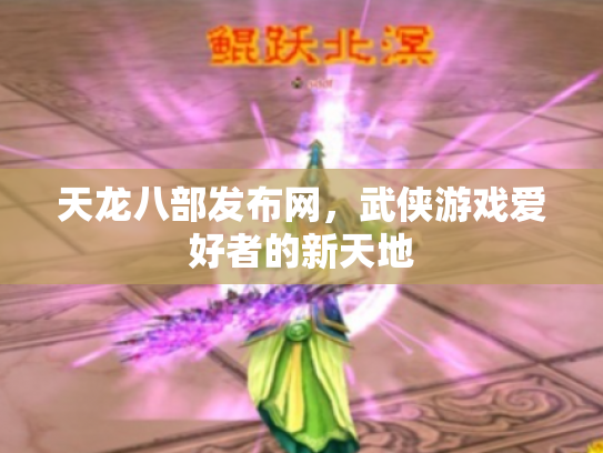 天龙八部发布网，武侠游戏爱好者的新天地