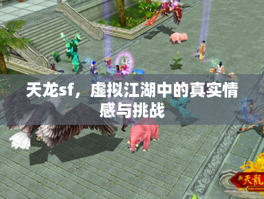 天龙sf，虚拟江湖中的真实情感与挑战