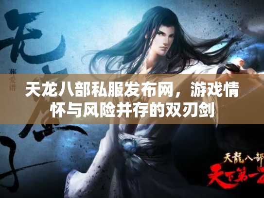天龙八部私服发布网，游戏情怀与风险并存的双刃剑