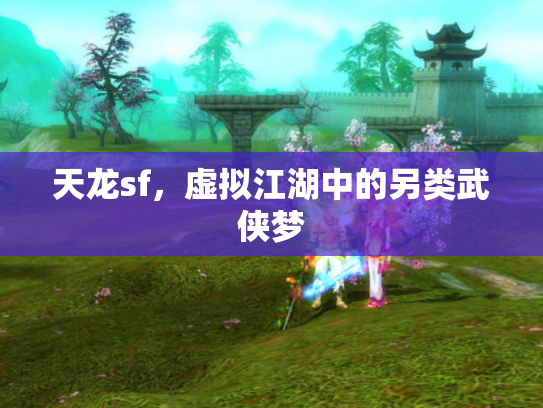 天龙sf，虚拟江湖中的另类武侠梦