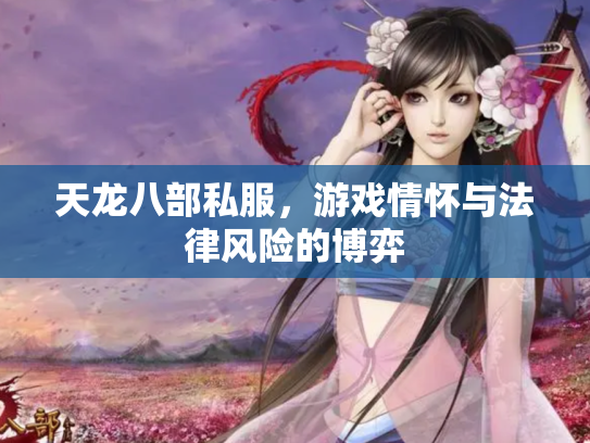 天龙八部私服，游戏情怀与法律风险的博弈