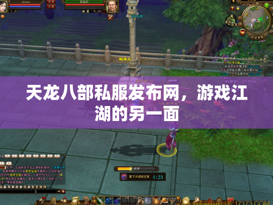 天龙八部私服发布网，游戏江湖的另一面