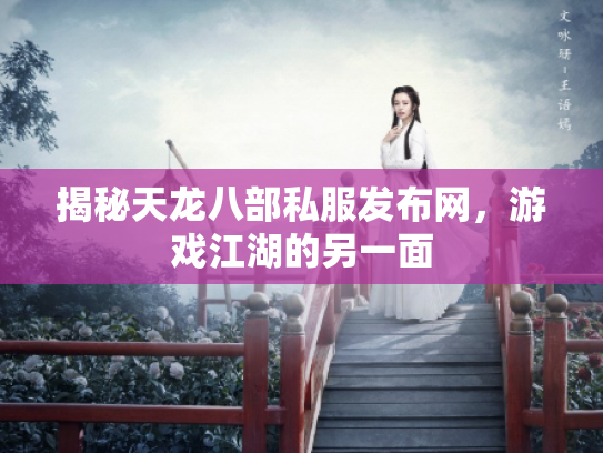 揭秘天龙八部私服发布网，游戏江湖的另一面