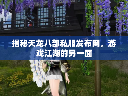 揭秘天龙八部私服发布网，游戏江湖的另一面