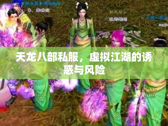 天龙八部私服，虚拟江湖的诱惑与风险