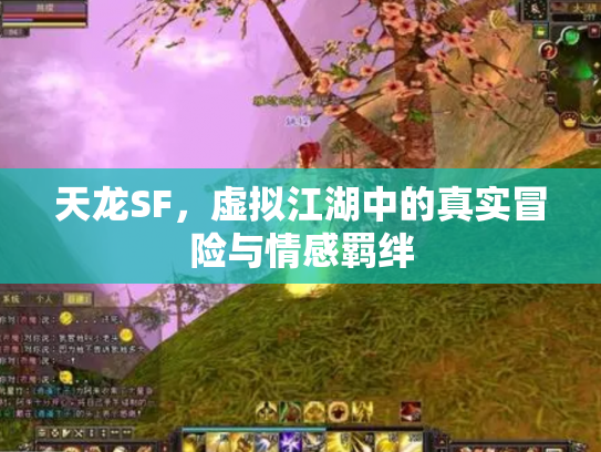 天龙SF，虚拟江湖中的真实冒险与情感羁绊