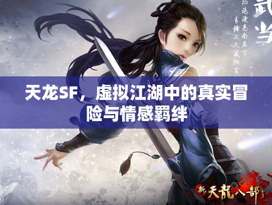天龙SF，虚拟江湖中的真实冒险与情感羁绊