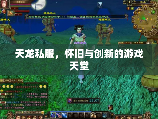 天龙私服，怀旧与创新的游戏天堂