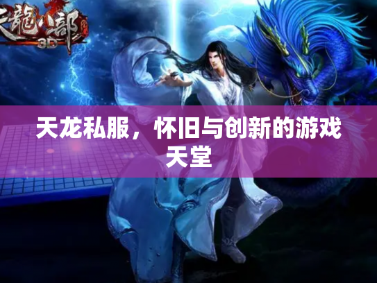 天龙私服，怀旧与创新的游戏天堂