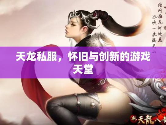 天龙私服，怀旧与创新的游戏天堂