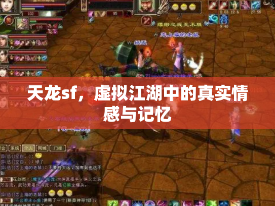 天龙sf，虚拟江湖中的真实情感与记忆