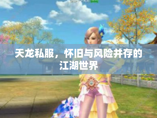 天龙私服，怀旧与风险并存的江湖世界