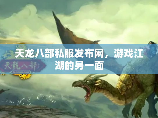 天龙八部私服发布网，游戏江湖的另一面
