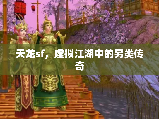 天龙sf，虚拟江湖中的另类传奇