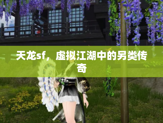 天龙sf，虚拟江湖中的另类传奇