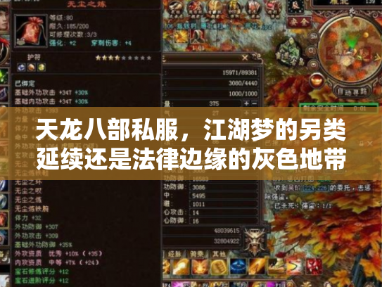 天龙八部私服，江湖梦的另类延续还是法律边缘的灰色地带？