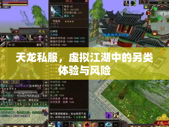 天龙私服，虚拟江湖中的另类体验与风险