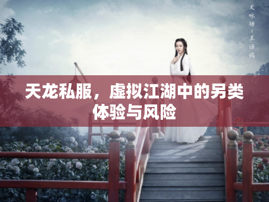 天龙私服，虚拟江湖中的另类体验与风险