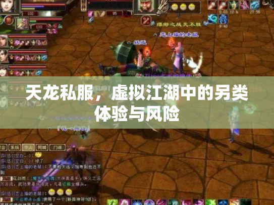 天龙私服，虚拟江湖中的另类体验与风险