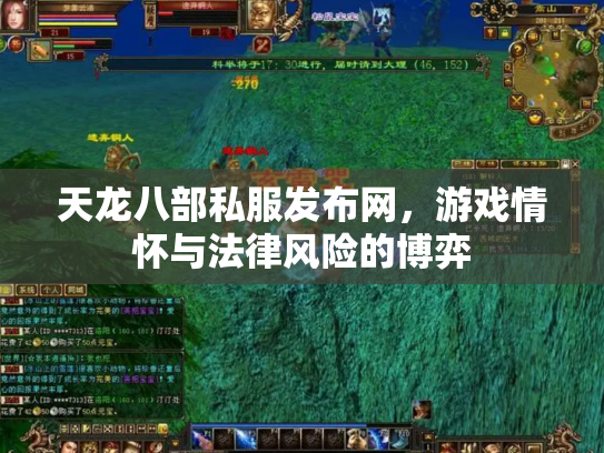 天龙八部私服发布网，游戏情怀与法律风险的博弈