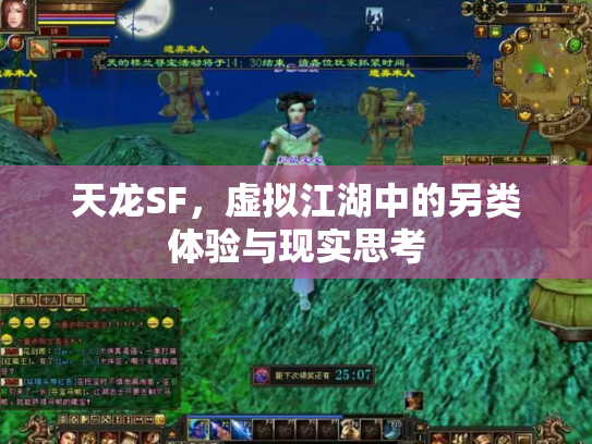 天龙SF，虚拟江湖中的另类体验与现实思考