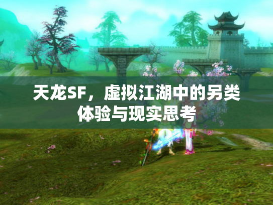 天龙SF，虚拟江湖中的另类体验与现实思考
