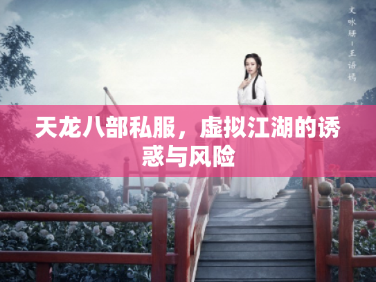 天龙八部私服，虚拟江湖的诱惑与风险