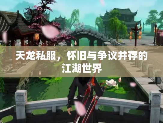 天龙私服，怀旧与争议并存的江湖世界