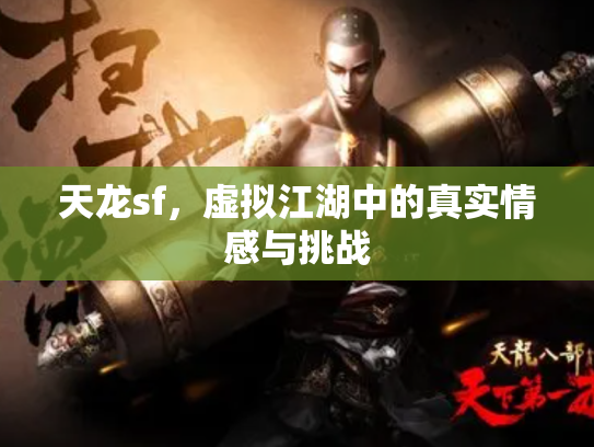 天龙sf，虚拟江湖中的真实情感与挑战