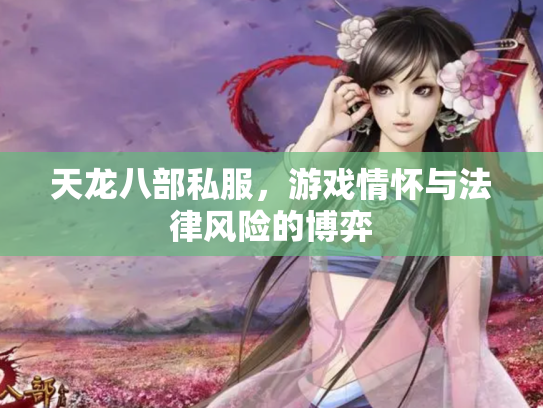 天龙八部私服，游戏情怀与法律风险的博弈