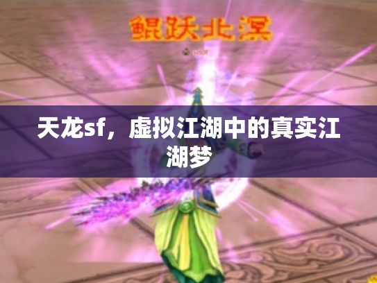 天龙sf，虚拟江湖中的真实江湖梦