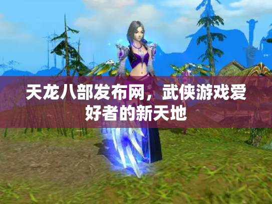 天龙八部发布网，武侠游戏爱好者的新天地