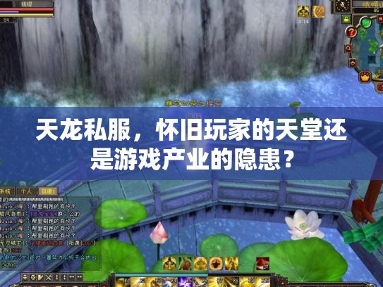 天龙私服，怀旧玩家的天堂还是游戏产业的隐患？