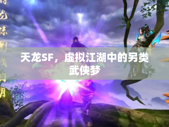天龙SF，虚拟江湖中的另类武侠梦