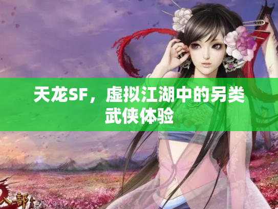 天龙SF，虚拟江湖中的另类武侠体验